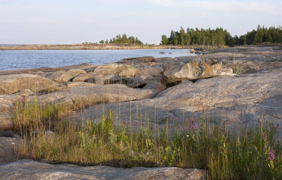 Kvanttihypnoosi