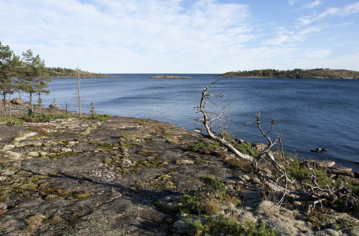 Keskustelu