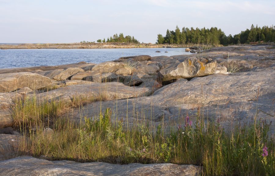 Kvanttihypnoosi – kivikko